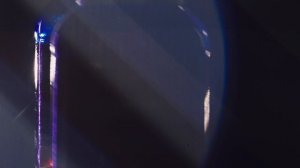 ISB профессиональная косметика для кошек и собак