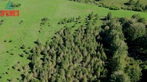 Солонешенский район деревня Сибиричика участок № 1