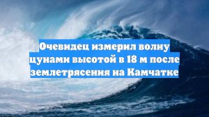Очевидец измерил волну цунами высотой в 18 м после землетрясения на Камчатке