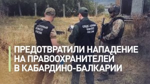 Боевики планировали нападение на правоохранителей: в Кабардино-Балкарии предотвращён теракт