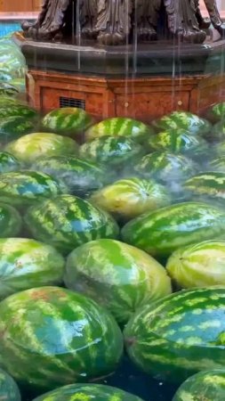 🍉В ГУМе сегодня начался арбузно-дынный сезон🍉