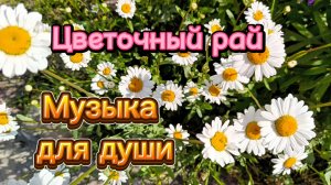 Музыка для души. Золотой саксофон.