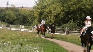 Катание на лошади на Кудыкиной горе!