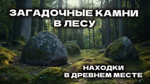 Загадочные камни в лесу: находки в древнем месте! #топыкатегорий