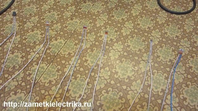 WAGO. Запретить Нельзя Помиловать?! смотреть онлайн