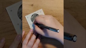 Медуза зентангл