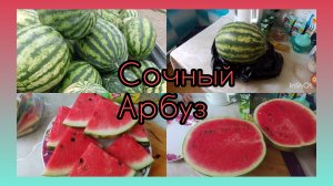 Пробуем Арбуз 🍉Готовлю Курицу с картошкой в духовке 🍗