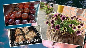 Заготовки на зиму... Лечо. Аджика.Свекольный салат.