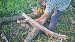 Работа с бензопилой сучкорезом Champion 125Т-10