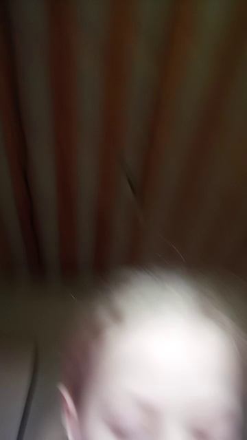 где спаниэль смотреть онлайн