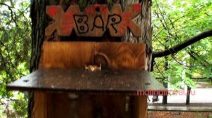 Железноводск