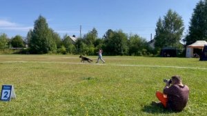 ПОДРОСТКИ КОБЕЛИ / КЧК КОТЛАС 26 июля`25 А.Буйнова Моно немецких овчарок