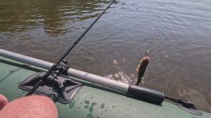 НА РЫБАЛКУ С ДРУГОМ