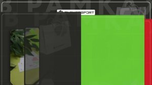 CLEVERSPORT. Презентация франшизы.