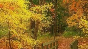 Константин Дерр -Осенняя женщина