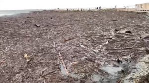 Чёрное море после шторма и ливней 🌧️