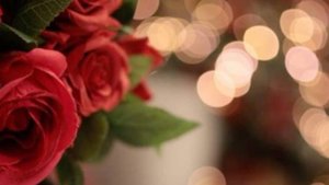 Пожелания доброго вечера и доброй ночи красивые ✨
