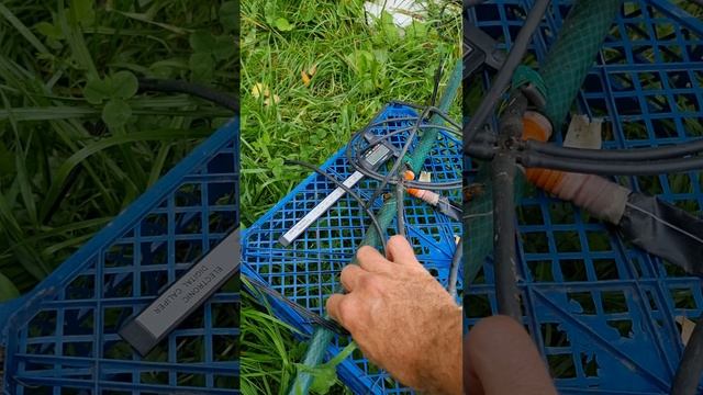 Капельный полив. Что выбрать? смотреть онлайн