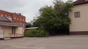 В Армавире во время непогоды 2 августа было вывернутого с корнем 25 деревьев