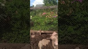 любимое место отдыха у Матильд