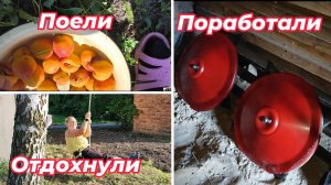 Как мы проводим время в деревне!?  Да вот так!#домвдеревне#садиогород#ремонтстарогодома