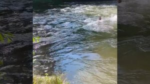 против течения