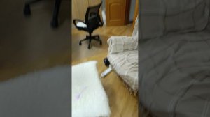 я не пропала, бесилки с пауком Жорой или Василием