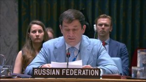 Выступление Д.А.Полянского на заседании СБ ООН по Украине