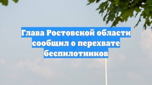 Глава Ростовской области сообщил о перехвате беспилотников