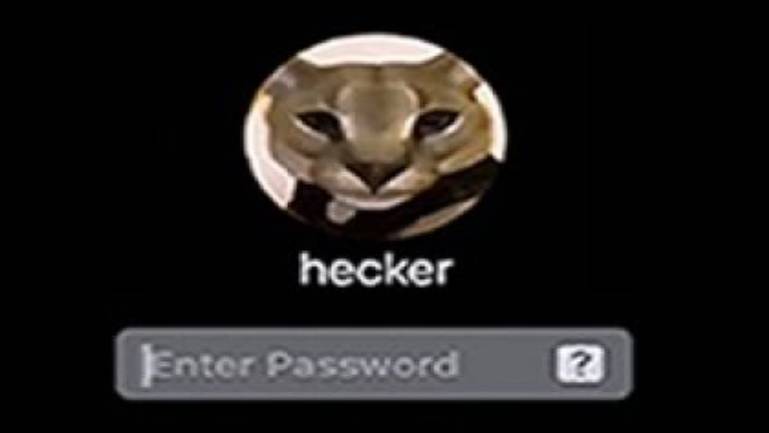 Когда Забыл Пароль в Roblox _ Beluga [Русская Озвучка] смотреть онлайн