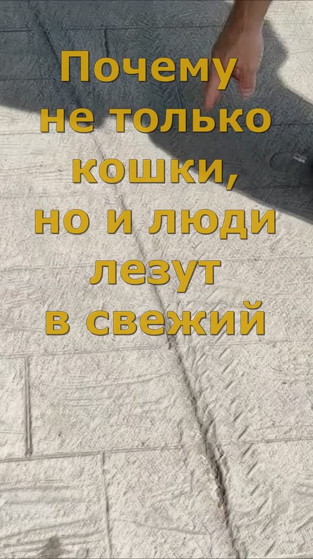 Почему не только кошки но и люди лезут на свежий бетон? смотреть онлайн