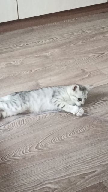 клубок
.mp4 смотреть онлайн