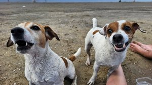 Приехали на белое море/ноги сводит от холода/выросло совсем не то/немного растроилась.