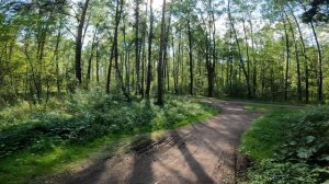 Ввеломршрут Спб - Парк Сосновая Поляна. Лето 2025