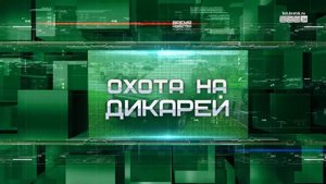 «Охота на дикарей»: братские водители в поисках своего места в жизни