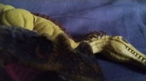 МЫ ПОЕХАЛИ ПАПУА НОВАЯ ГВИНЕЯ 🇵🇬 И СПИНОЗАВР ОПЯТЬ УКРАЛ МОЕГО ДРУГА ПОСТАВЬТЕ СТО ТЫСЯЧ ЛАЙКОВ👍