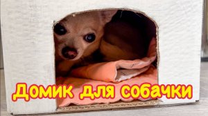 Как сделать домик, будку, конуру для маленькой собачки своими руками