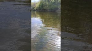 река Битюг.mp4