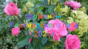 Моменты Ульяновского лета 2025/