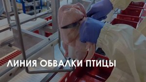 Линия обвалки птицы HD-7/7