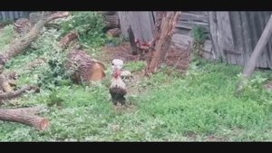 Продолжаем работу в доме у реки.