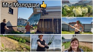 Закрыли полностью крышу бани. Убрали чеснок. Жизнь на Ласьве