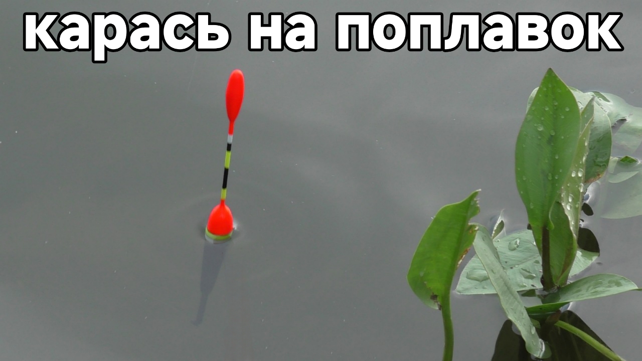Рыбалка из детства. Ловля карася на поплавочную удочку 2025 смотреть онлайн