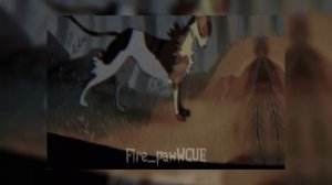 Эдит Сол коты воители