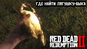 Где найти Лягушка-Бык в Red Dead Redemption 2