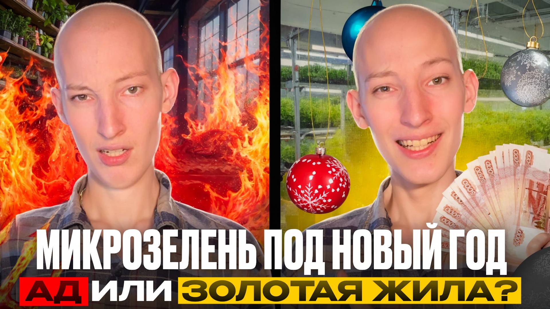 📈Сколько можно заработать на микрозелени перед Новым годом?