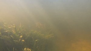 Подводная охота в Астрахани - завораживающие кадры!😱😍🐟