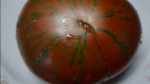 ЗОЛОТЫЕ ПОЛОСЫ - ОБЗОР СОРТА ТОМАТА, СЕЛЕКЦИЯ США