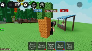 выращиваю самую большую морковку.