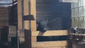 Едем в гости к родителям. Празднуем мамин юбилей. Как все прошло? Жизнь простых людей в деревне.